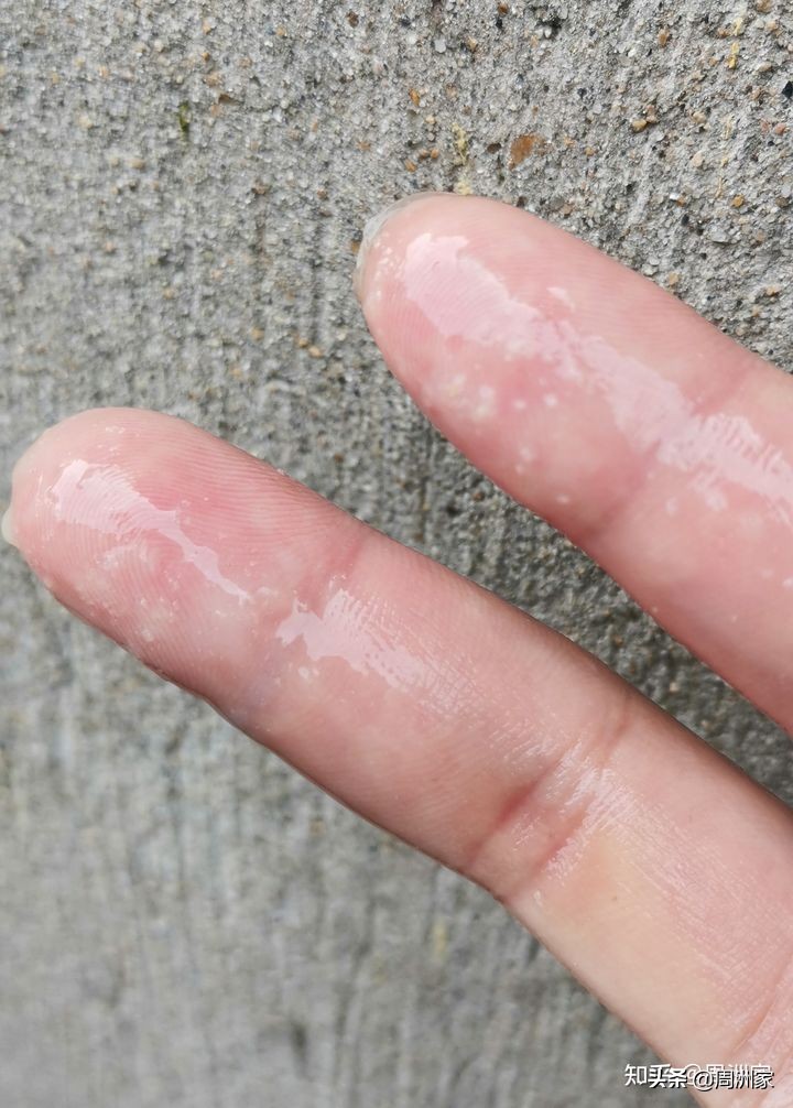 粘稠的蜂王浆是不是真正的蜂王浆,怎么辨别蜂王浆的正确吃法