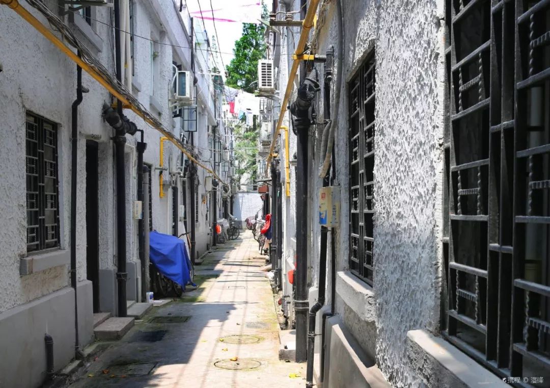 上海十大网红马路,魔都网红一条街