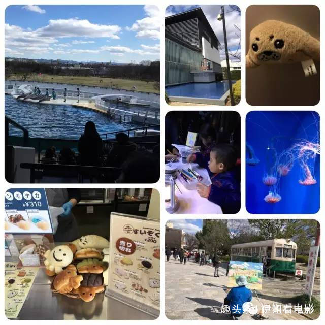 带娃去旅行｜日本京都--大阪--奈良--神户10日最详细食住行亲子攻