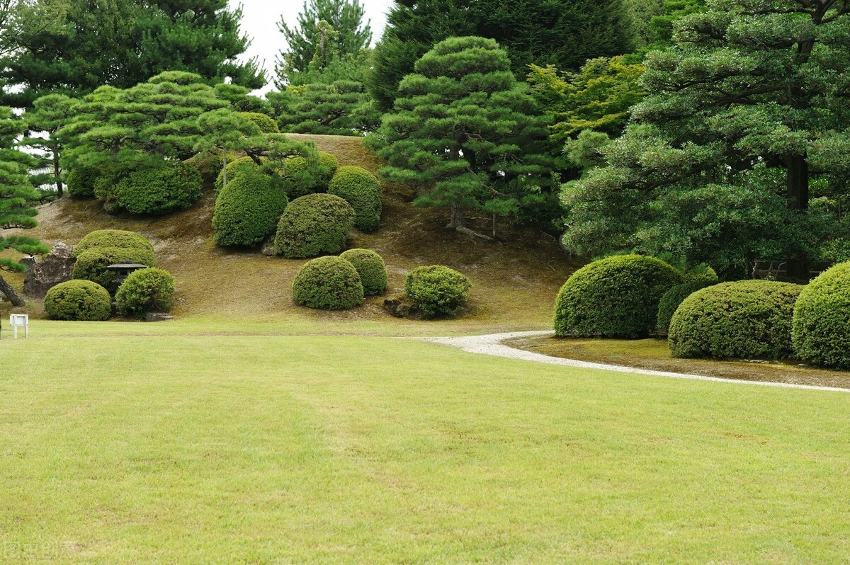 离婚女人的悲情,离婚女人心酸的哭声