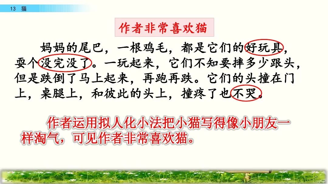 四年级下册语文13课猫课文解析,部编版四年级下册13猫教学视频