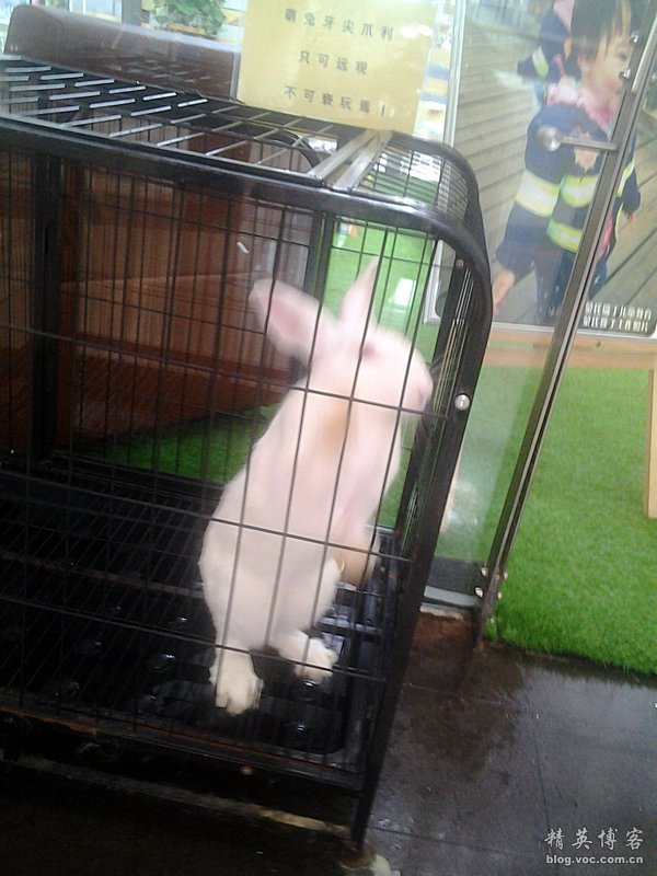 鏍床缇庣殑鏃朵唬骞垮満,鏍床缇庣殑鏃朵唬骞垮満鍋滆溅鏀惰垂