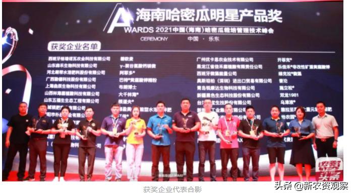 海南哈密瓜大市场,海南哈密瓜市场前景