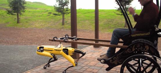 拆弹、监控、拉黄包车，还有什么是这条机器狗不会做的？