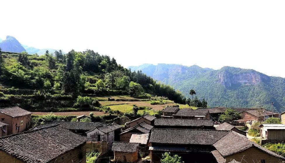 每日一村｜白云鸡犬之境，流水桃花之乡——公盂村