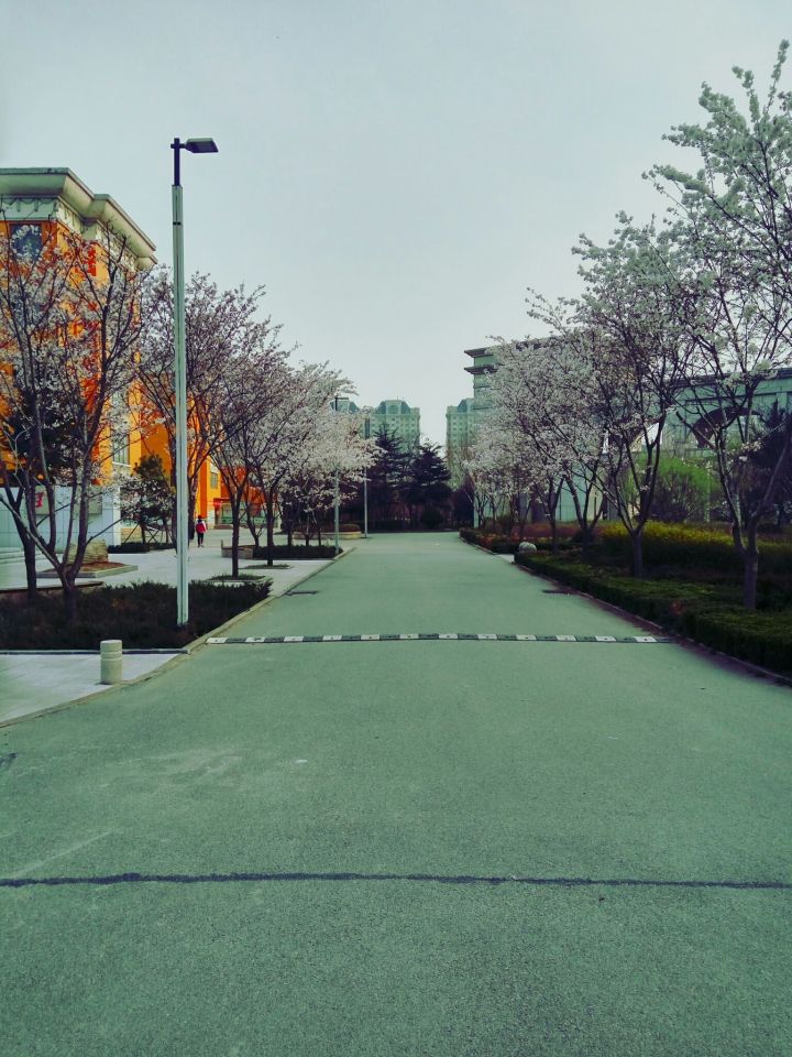 山东昌邑市第一中学,山东前十高中昌邑一中