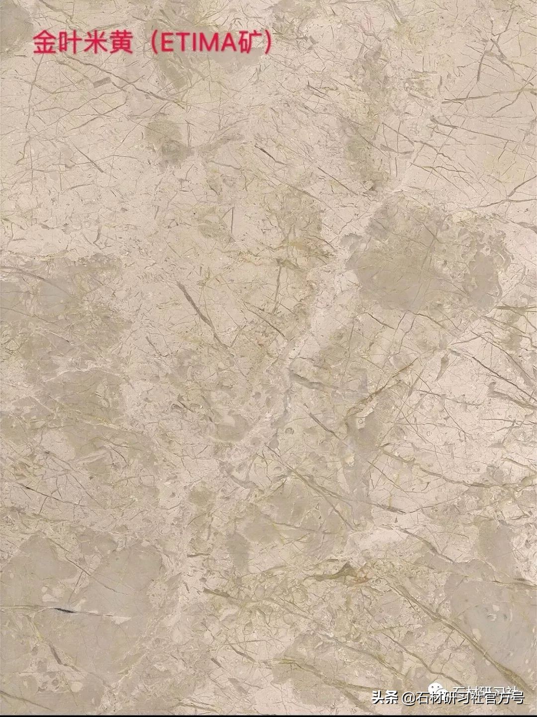 豪宅用的高级天然大理石,别墅铺什么颜色大理石档次最高