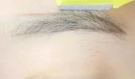 眉毛怎么修更好画,眉毛修毁了怎么画眉毛