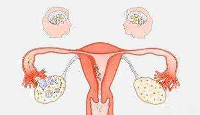 怎么测试排卵最准确,判断排卵最好方法