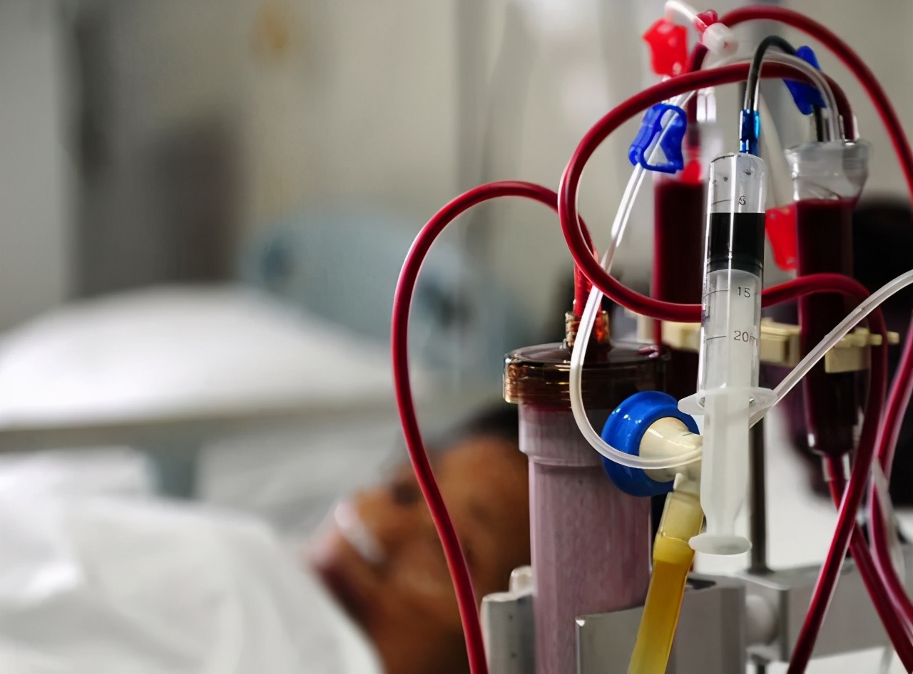 肾病能得到彻底“治愈”吗?请把握住这两个关键时期