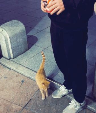 男子报警21岁喜当爹,男子喜当爹做了一件荒唐事