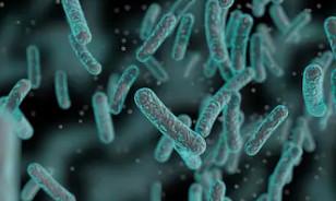 国人不知道的四大奇药,带你了解治愈癌症的新技术