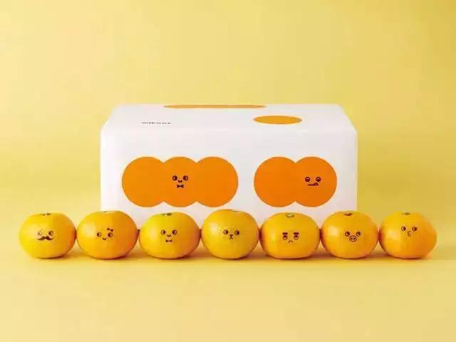 相差50年！“变态”的日本农业震撼中国农业经营者！引起轰动……