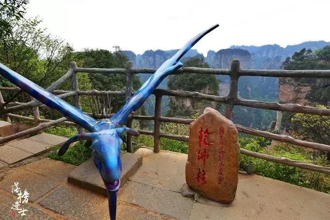 去张家界自助游攻略,张家界免门票自助游攻略图片真实