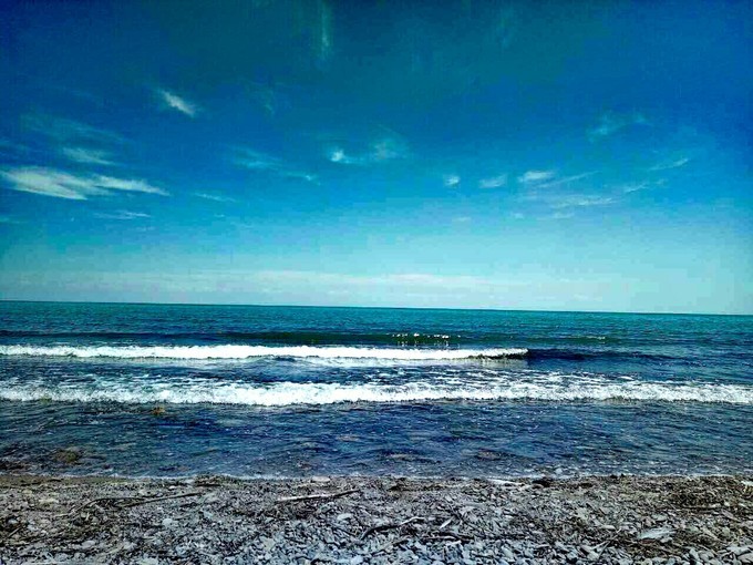 青海湖湟鱼洄游古诗词,青海湖湟鱼为什么洄游