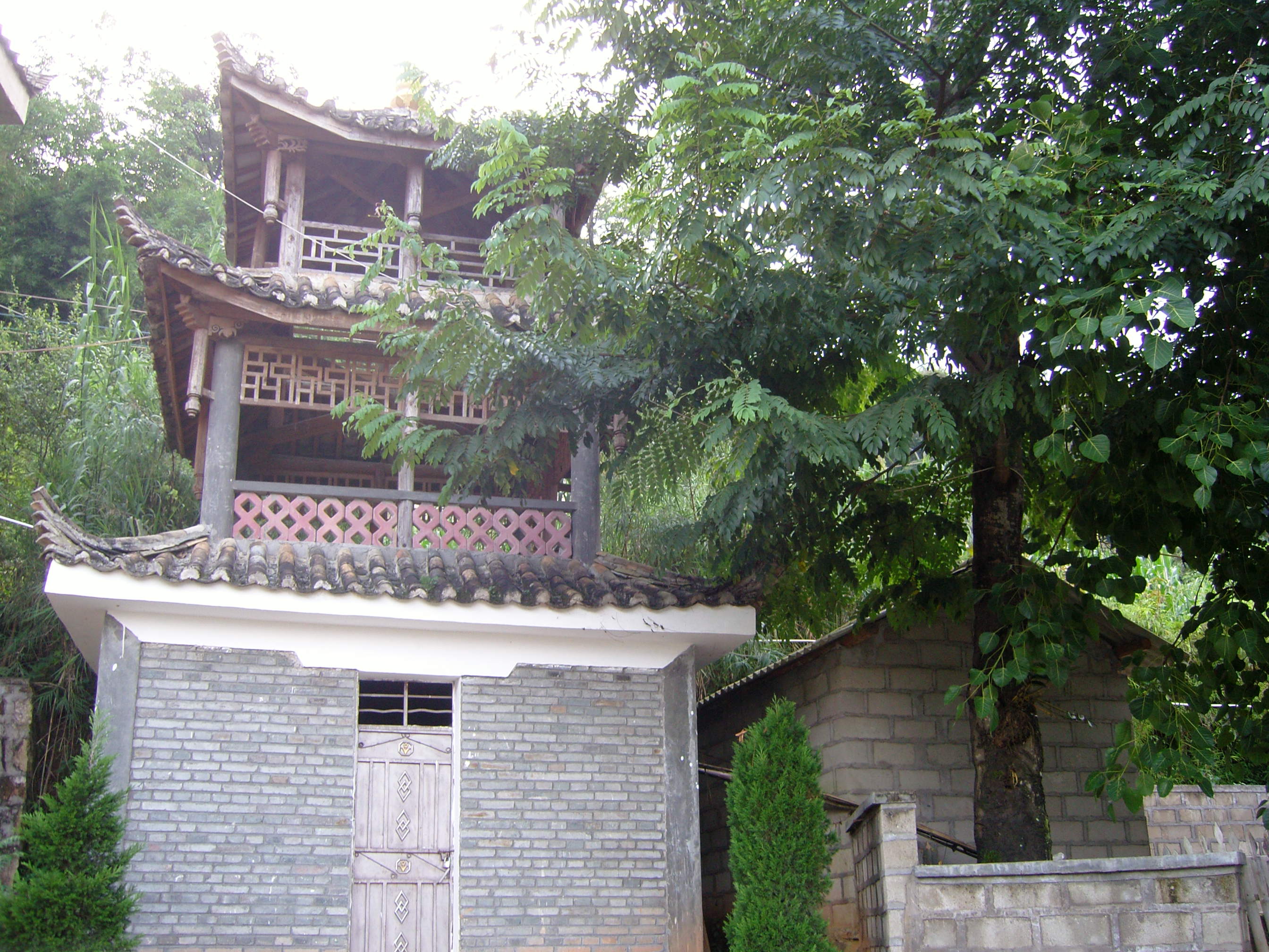 恍若光年一个孩子学习英语路上的故事