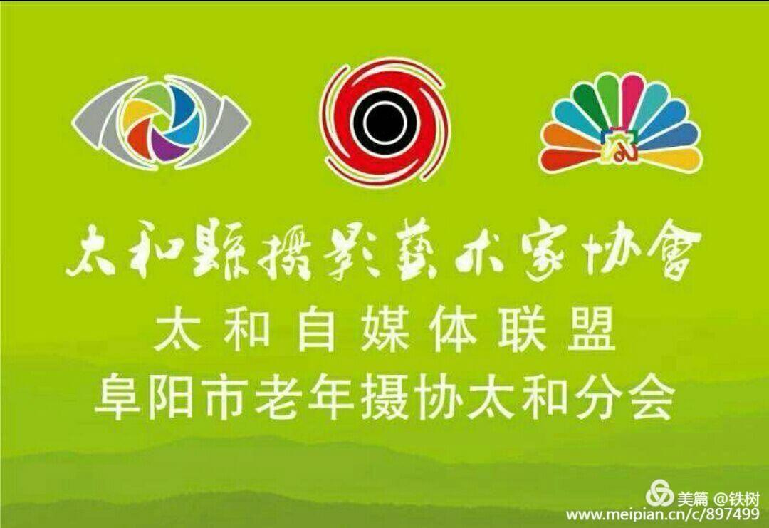 “战疫情保经济”安徽华源医药再发力