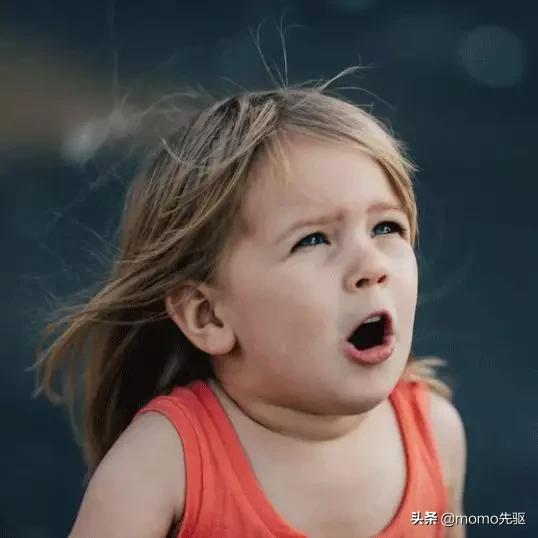 先驱膜工厂汽车贴膜,武汉先驱膜工场汽车贴膜