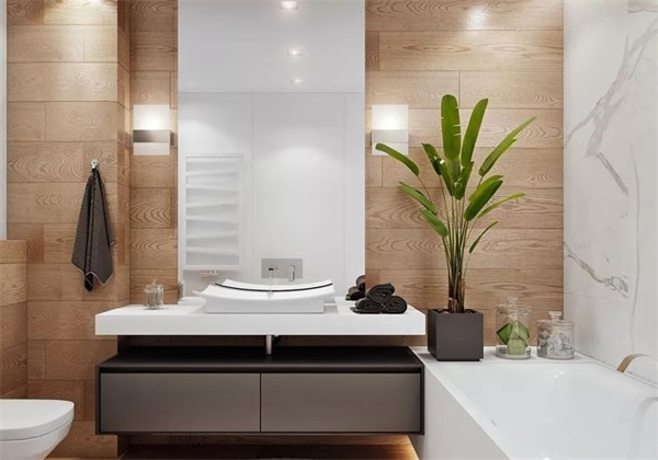 主卧暗卫改造成衣帽间及卫生间,暗卫改半开放式卫生间不装玻璃