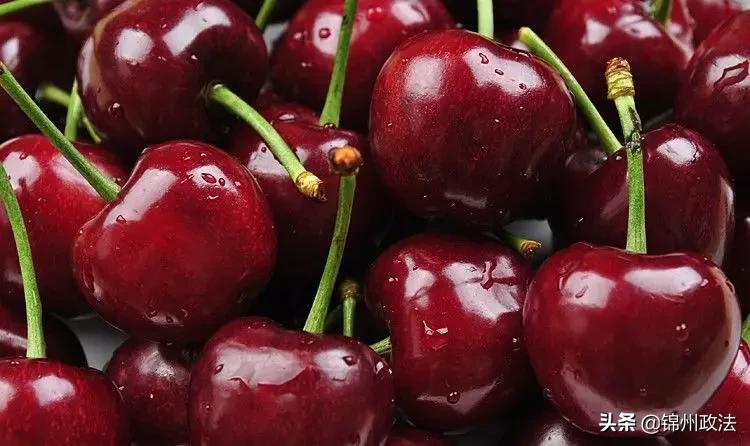 沈阳有什么特色农产品,辽宁省14个市县特产农产品