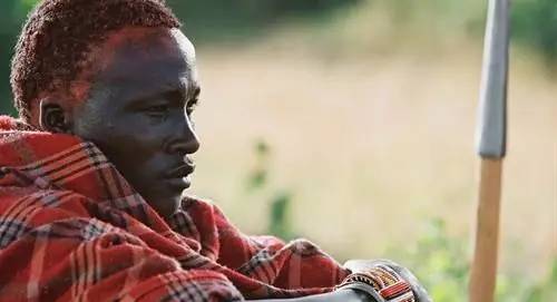 马赛人单挑非洲雄狮,狮子为啥惧怕马赛人