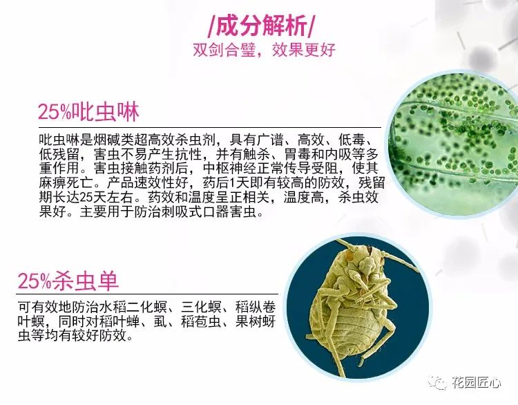 预防植物病虫害用什么药,植物病虫害防治的基本方法