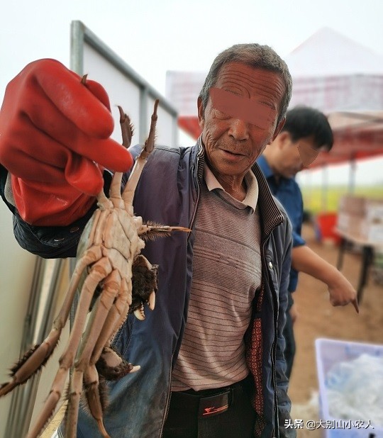 阳澄湖大闸蟹金字招牌,疯狂大闸蟹