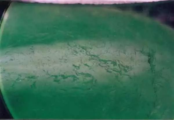 鉴定翡翠c货最简单的方法,如何鉴别翡翠a货