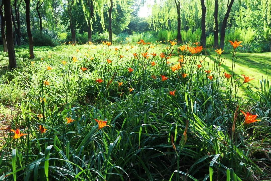在济南花式避暑,一见“清”心!只需一瞥,便足以把酷夏原谅…