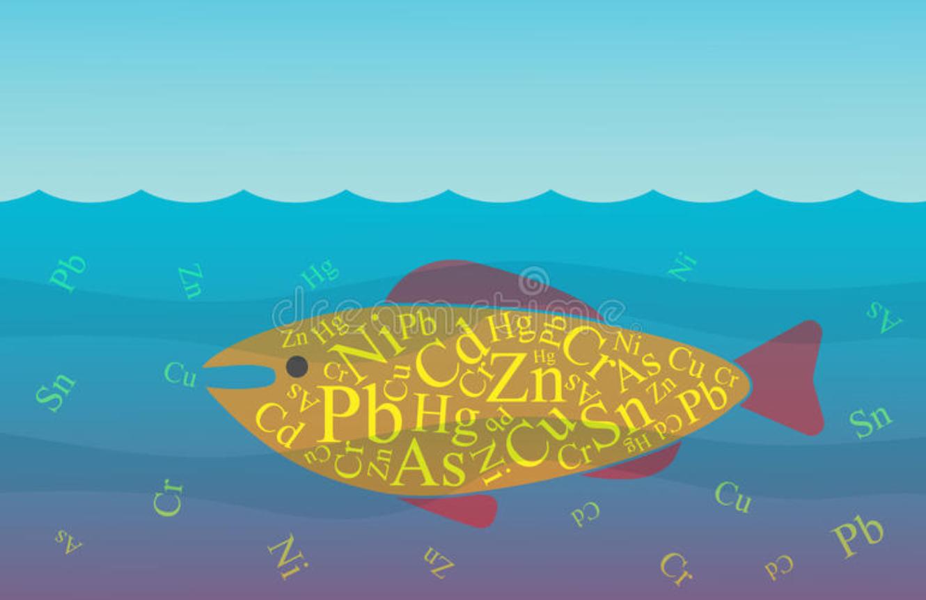 猫最喜欢吃的食物不是鱼吗,常吃猫粮的猫吃不得活鱼吗