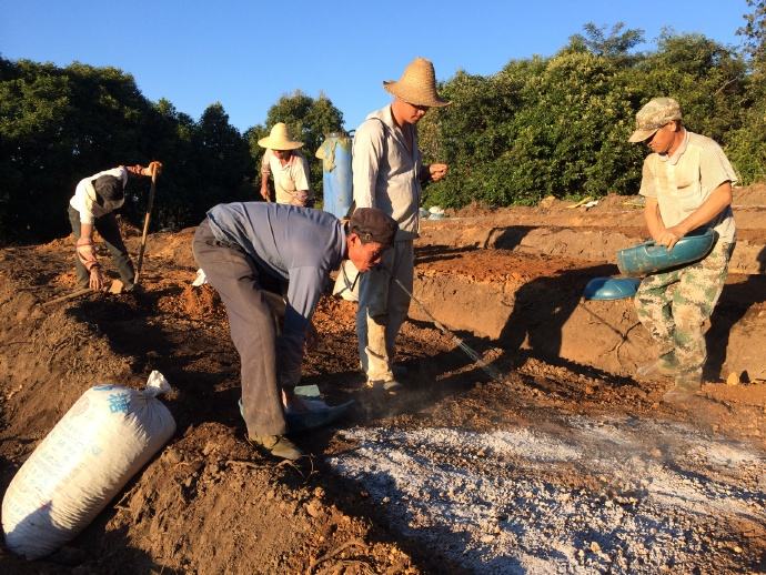 肥效明显,深受农家人的喜爱的草木灰,使用时要注意什么?