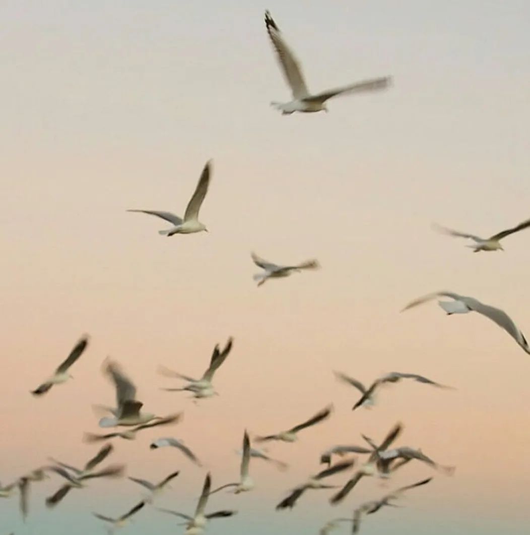 好听又温柔的小众风网名id,收集干净好听的小众网名