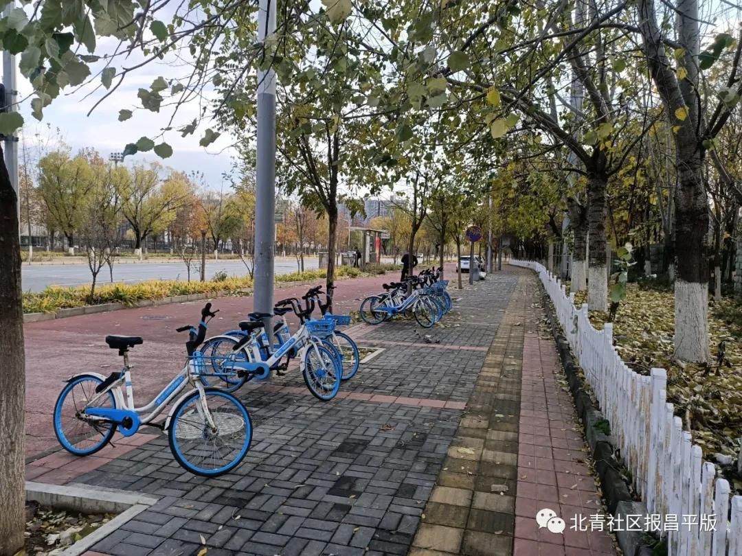 温暖、贴心、便利,初冬时节沙河高教园的新标签