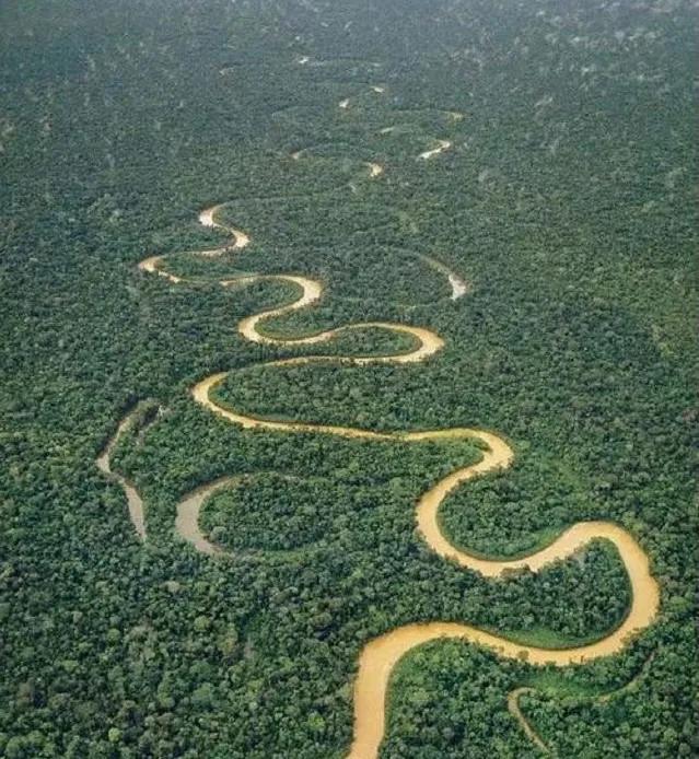同居式养老有哪些,什么是同居式养老你怎么看待