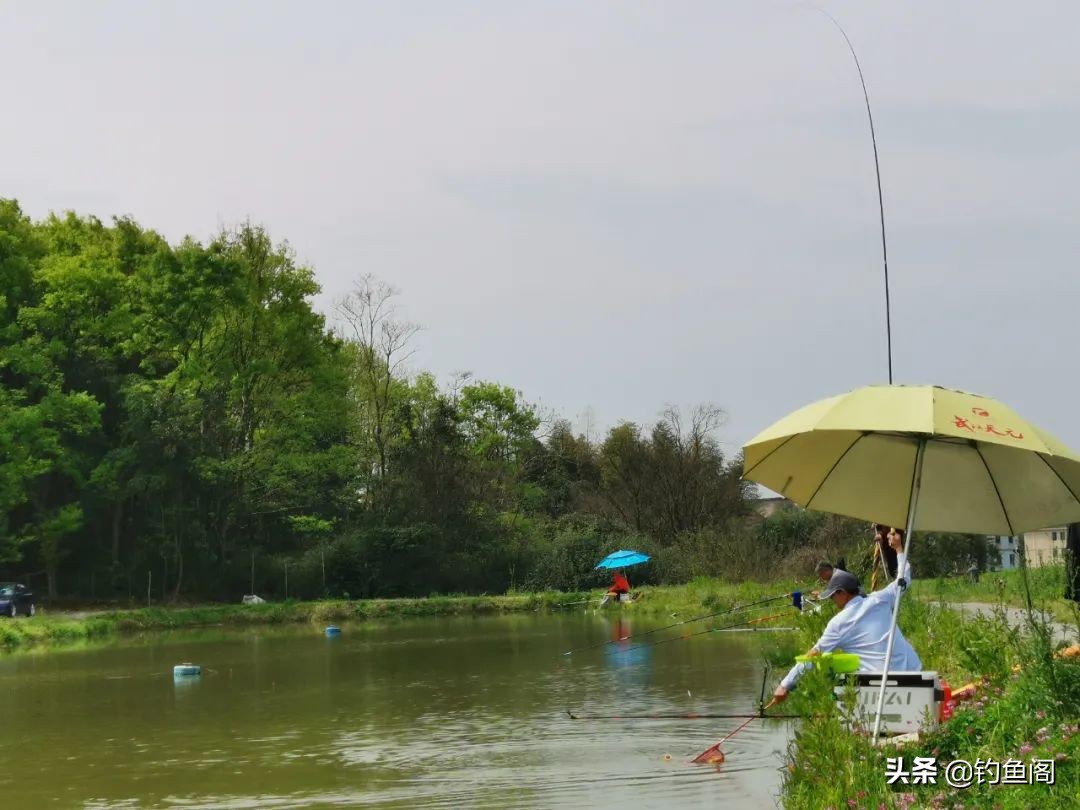 为什么遛鱼会没有劲,遛鱼为什么那么费力