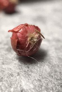 90后母亲被骗,90后妈妈因造假走红