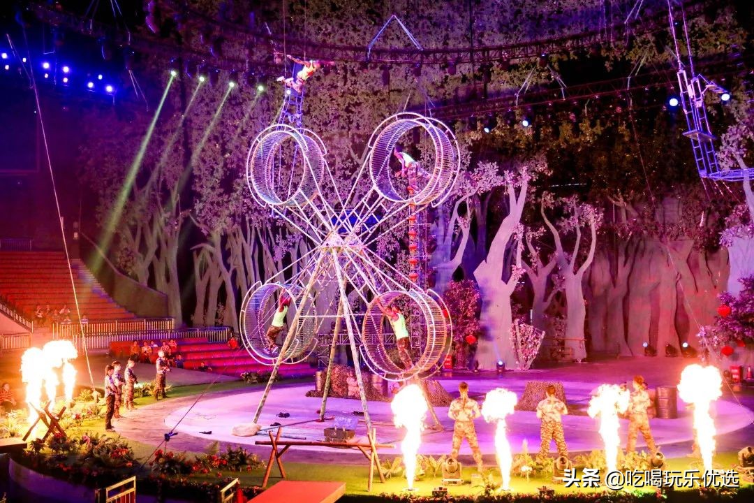 厦门灵玲动物王国大熊猫,厦门马戏团灵玲动物王国观光游览