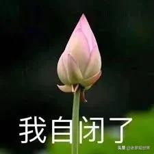 疫情期间深户有补贴吗,深圳深户疫情补贴政策