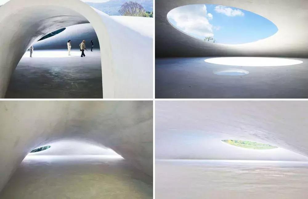 当景观遇上设计,当景观植物遇见灯光