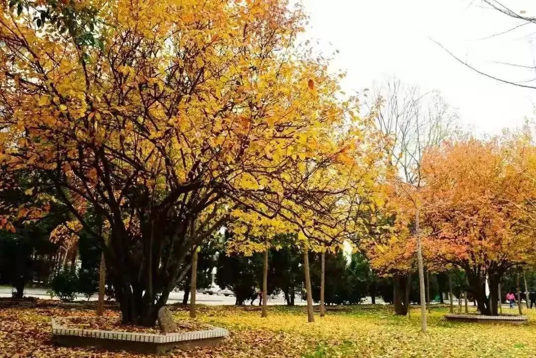 徐州生物工程职业学院2024年单招,徐州生物工程职业技术学院升本科