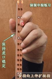 二胡的特殊技巧,二胡特殊演奏技巧