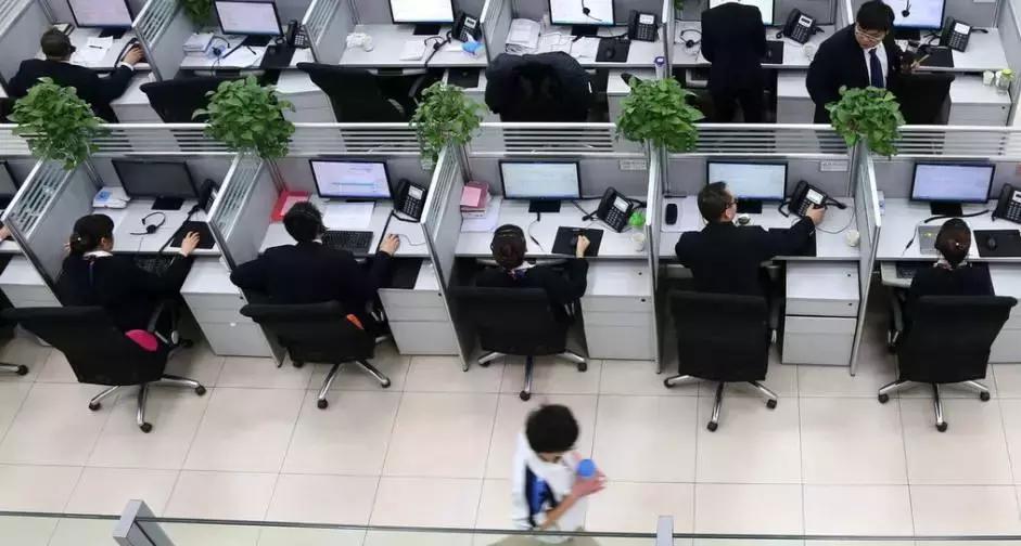 柳钢集团官网招聘,柳钢集团2024年第一期招聘