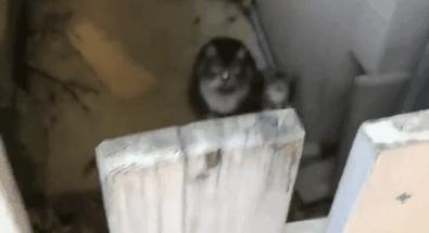 男子报警21岁喜当爹,男子喜当爹做了一件荒唐事