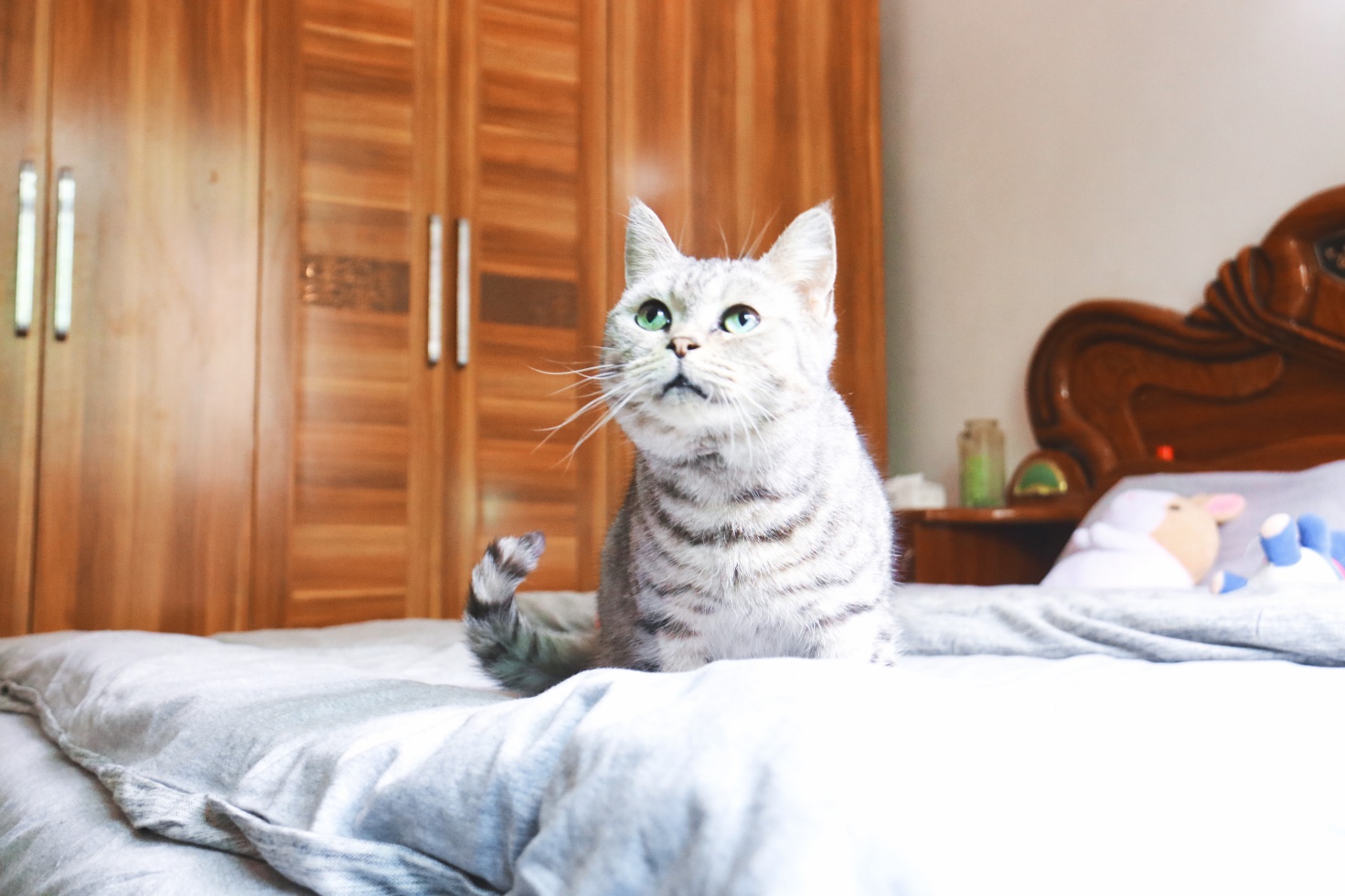 polo针织套装,睡眠辅助设备有哪些