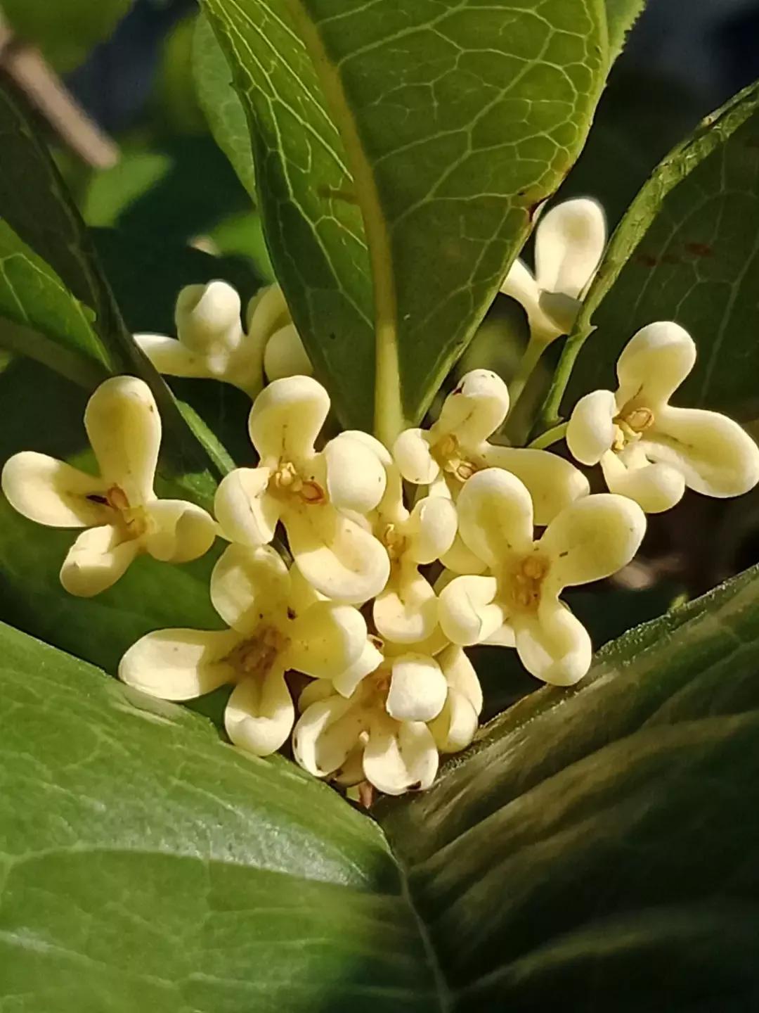 人睡着后不盖被子会着凉吗,人睡觉时为什么要枕枕头