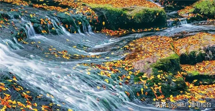 弥勒到重庆的高铁多少钱,云南省弥勒市通高铁