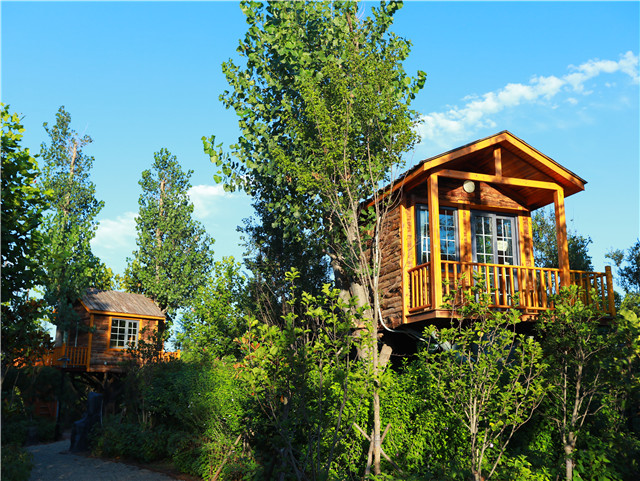 青岛市文旅大项目,青岛文旅创意项目