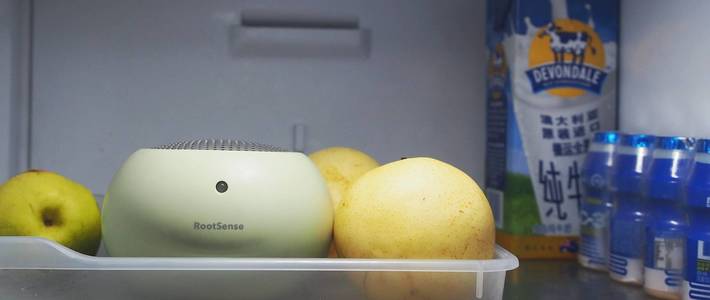 剩菜、腌菜充斥的冰箱你还好吗？RootSense根元舌尖卫士你需要！