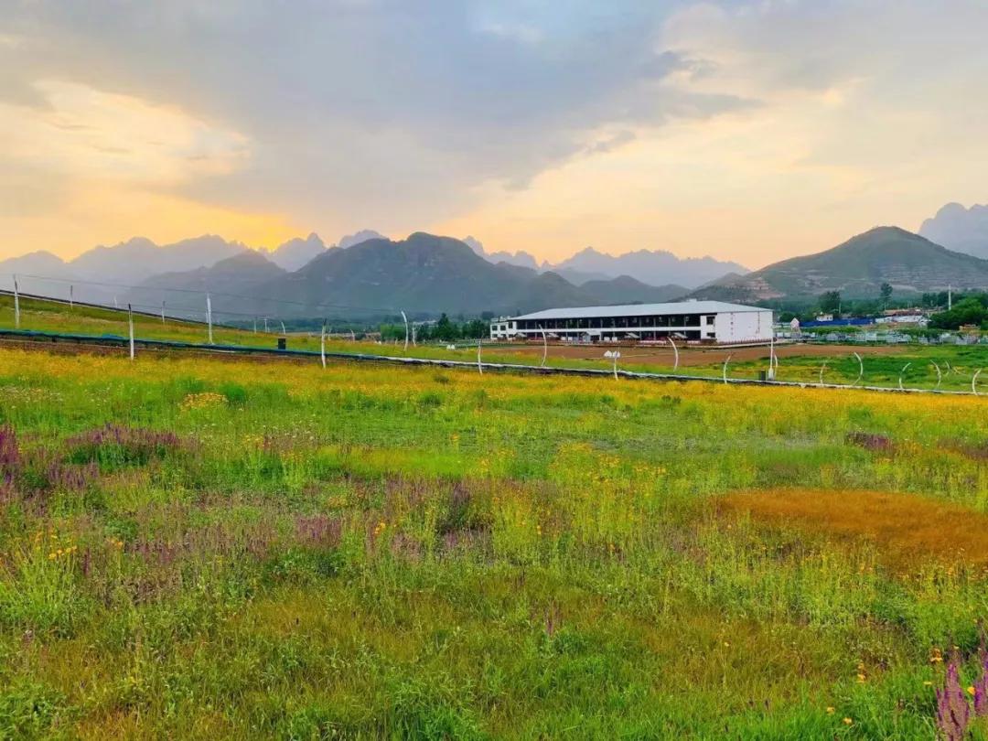 comeonbaby翻译,comeonbaby歌曲女声