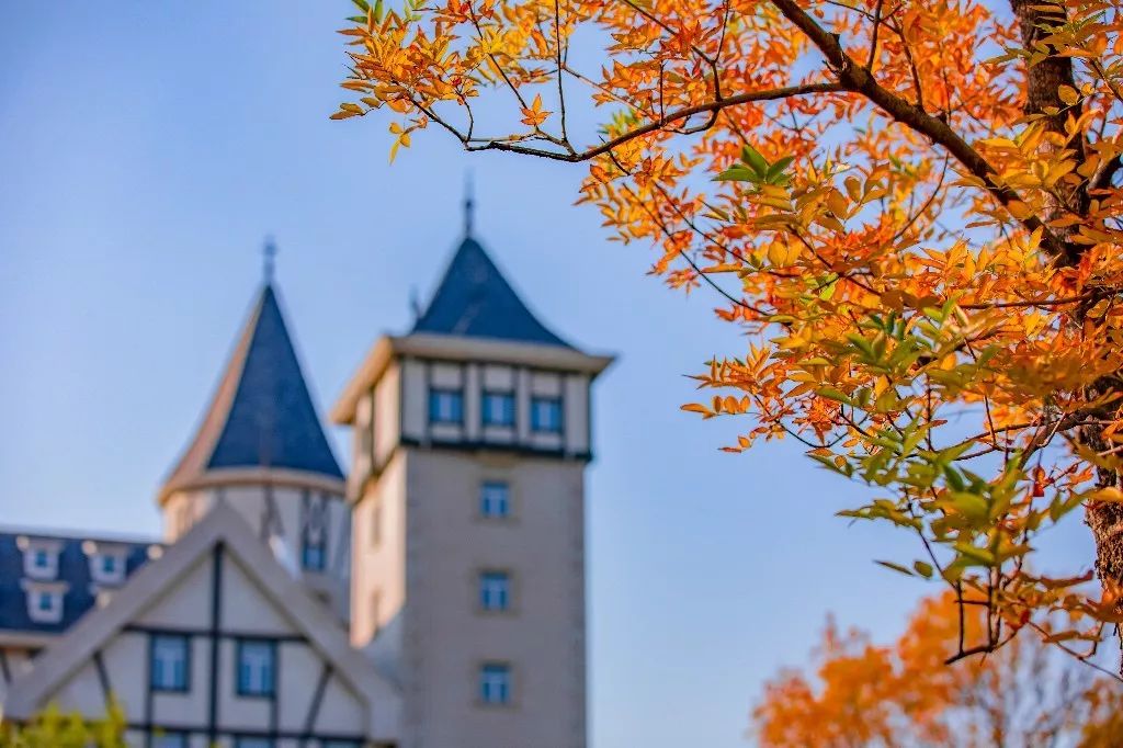 一路遐思入初冬，美好如约而至——张裕卡斯特酒庄